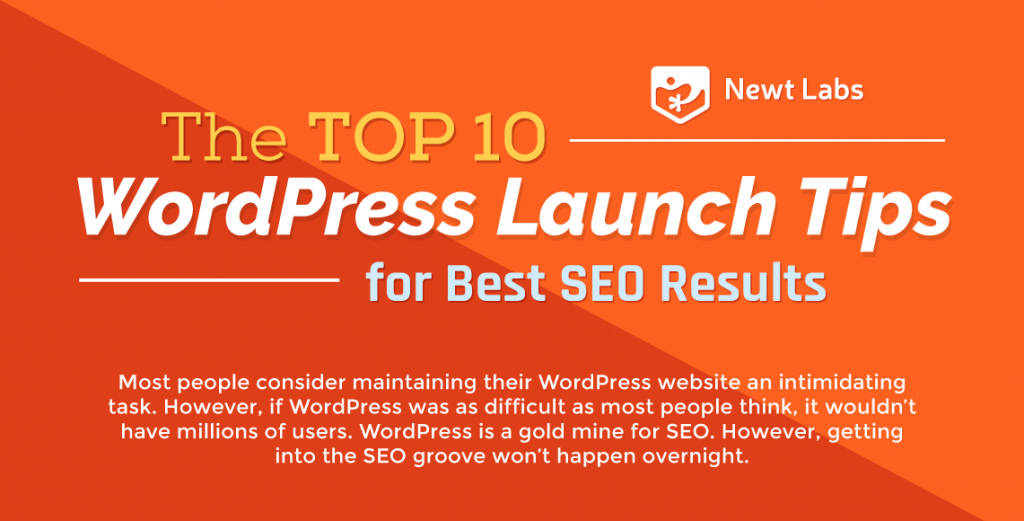 The Top 10 WordPress SEO Tips For Success