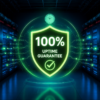 Uptime Guarantee in Web hosting